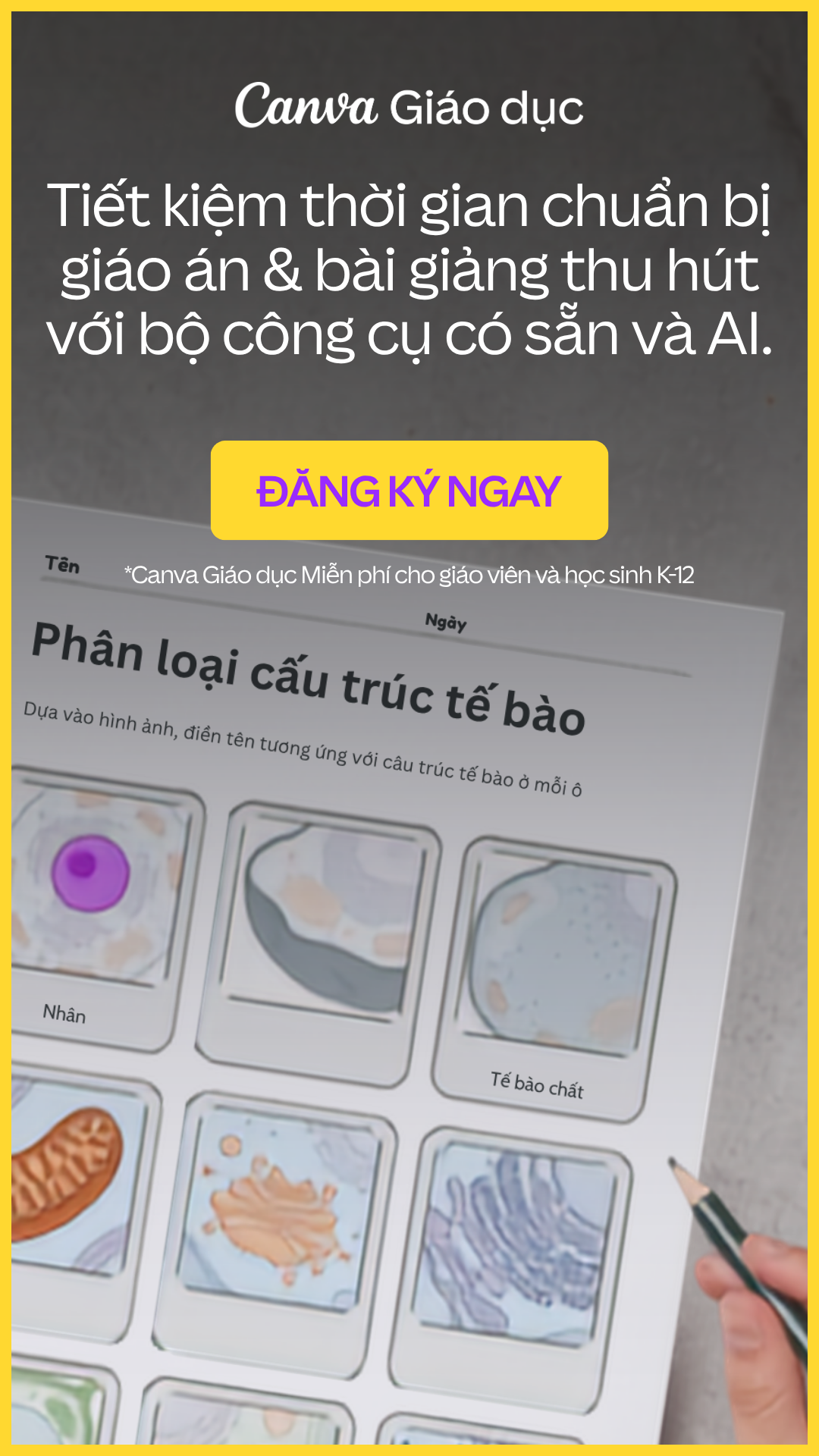 Canva Vietnam Facebook ad