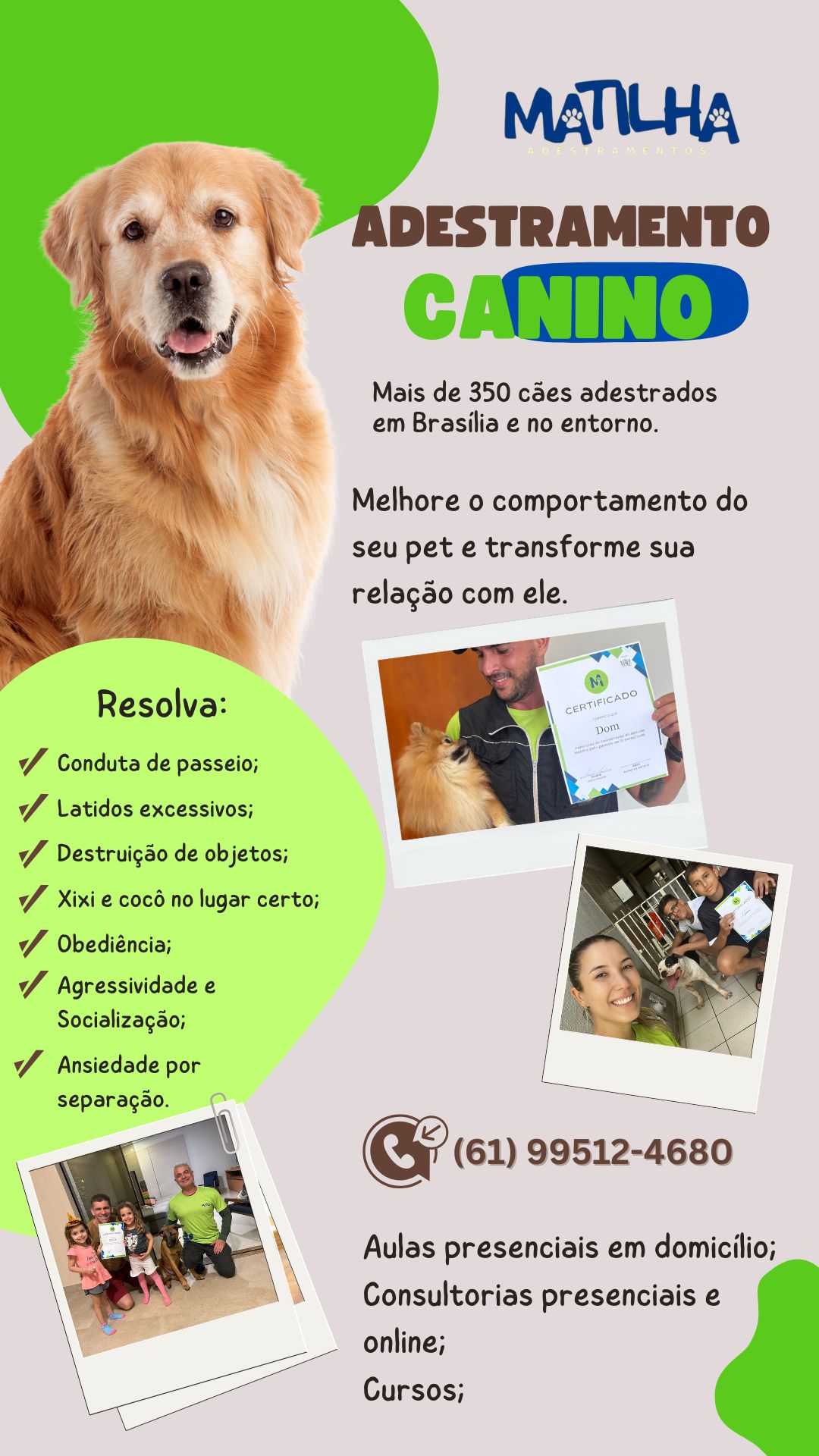 Matilha Adestramentos Facebook ad: Adestramento Profissional em Brasília