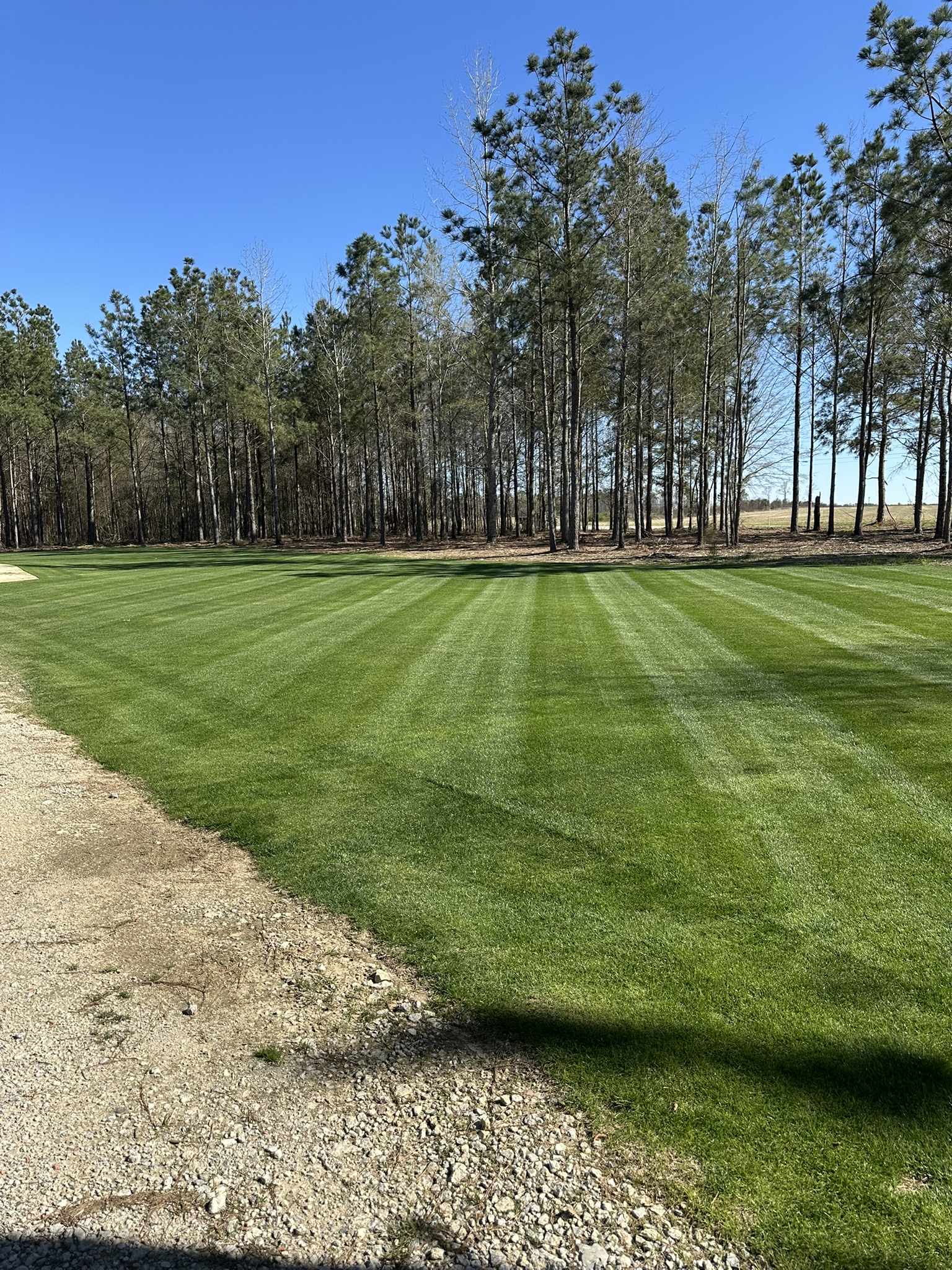 Augusta Grass Masters Facebook ad