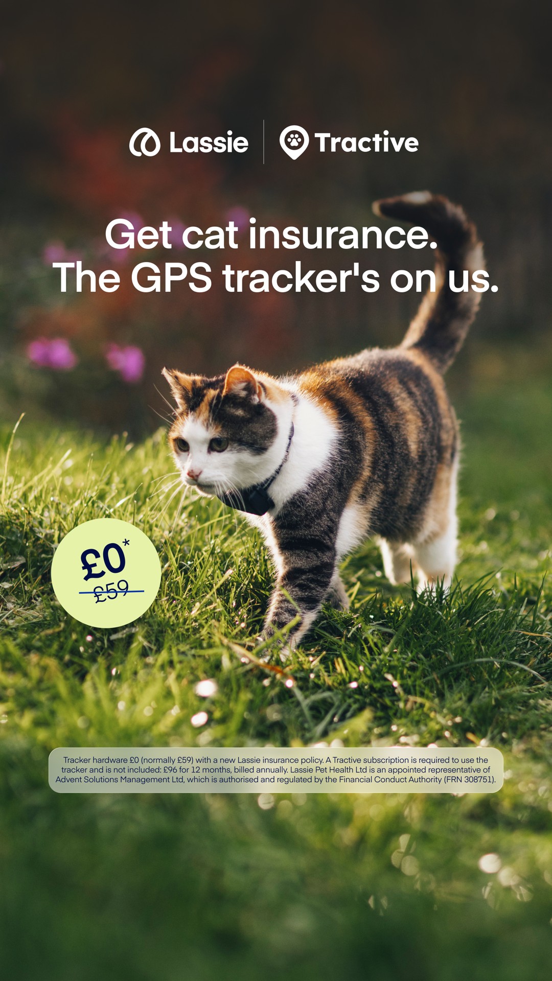 Lassie UK Facebook ad