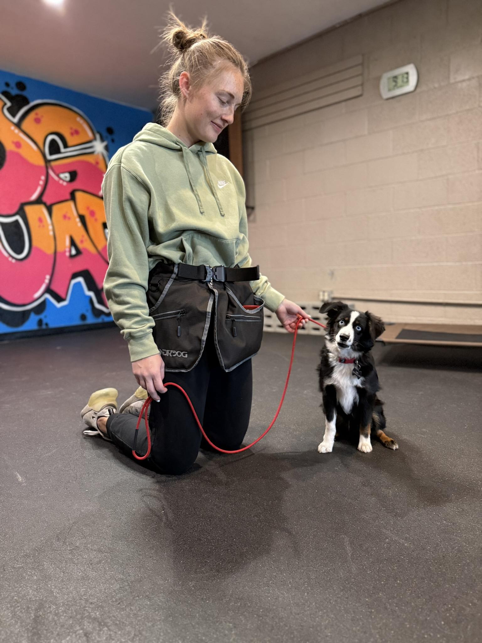 Prescott Valley Dog Squad Facebook ad