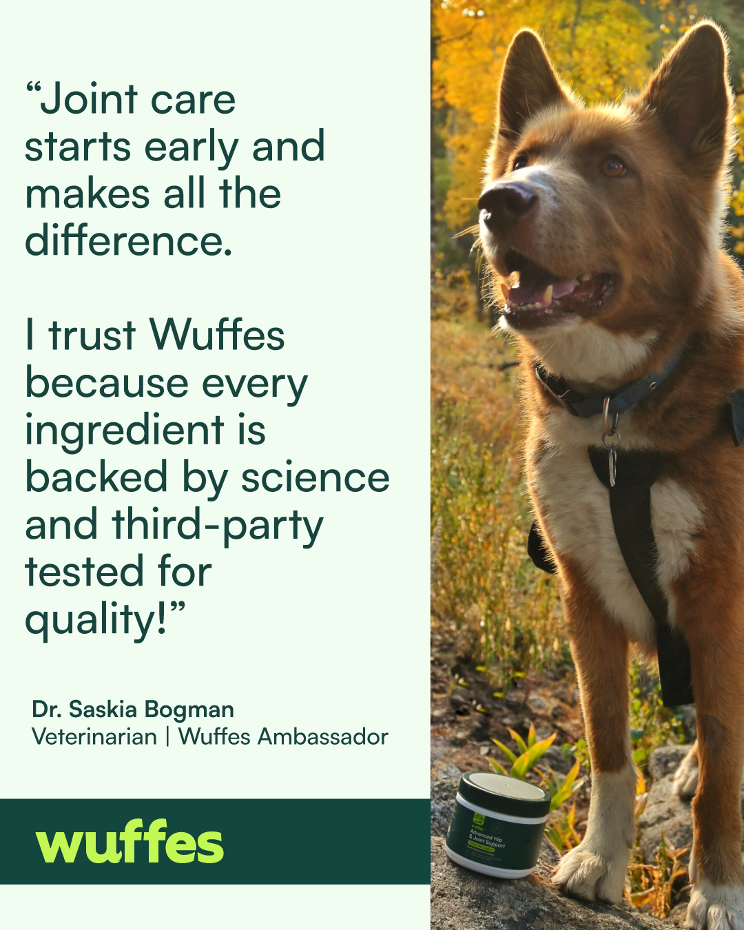 Wuffes Facebook ad