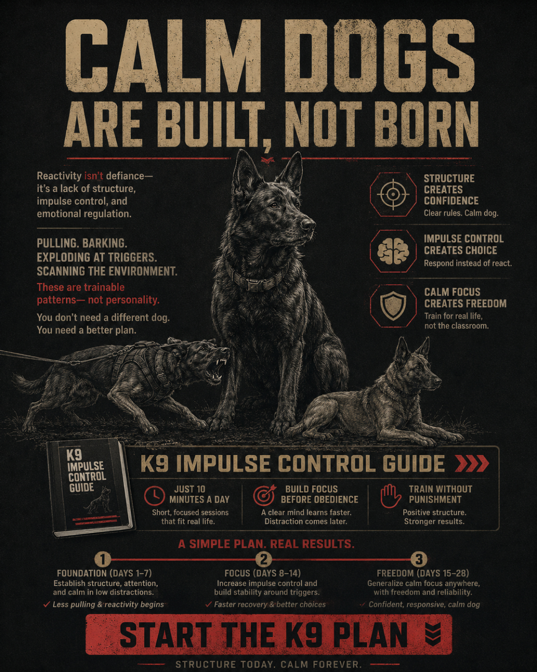 1st Dog Training Club Facebook ad