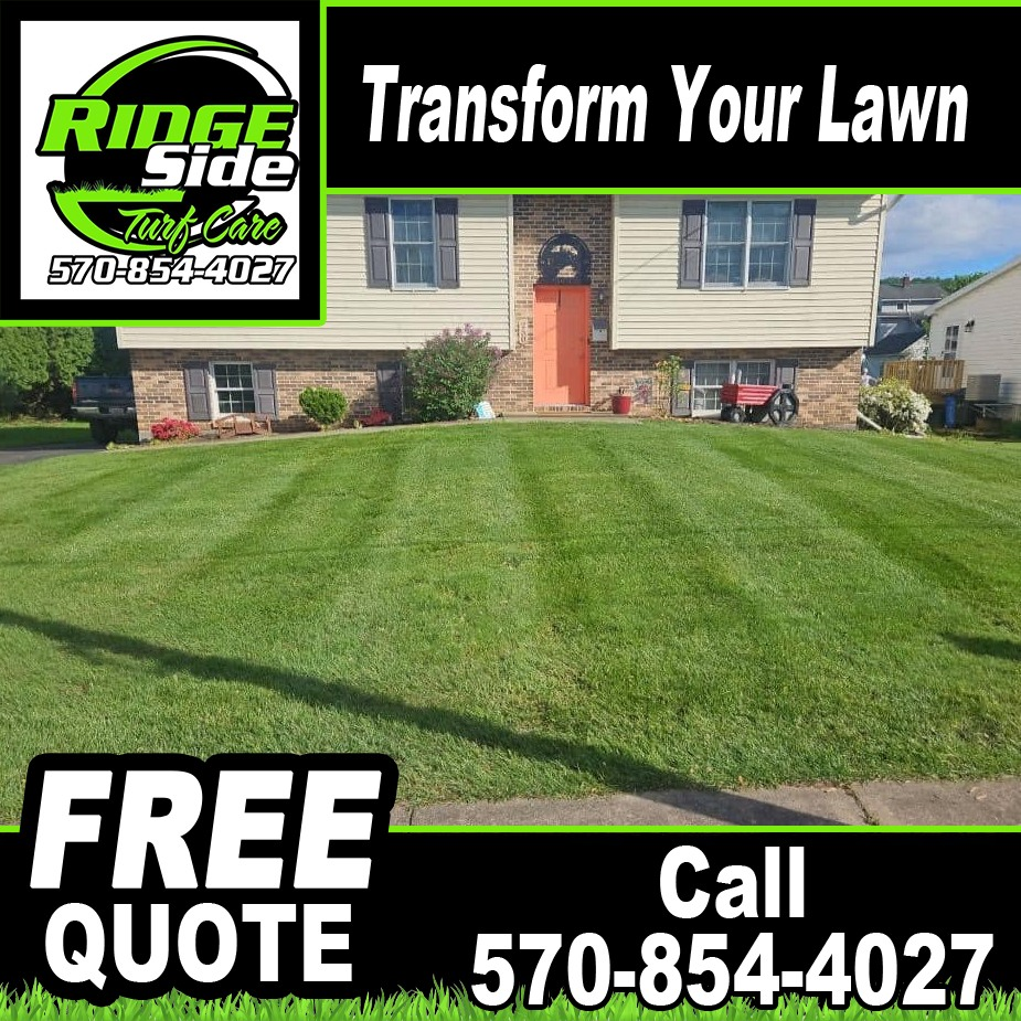 Ridge Side Turf Care LLC Facebook ad: Transform your lawn into the envy of your…