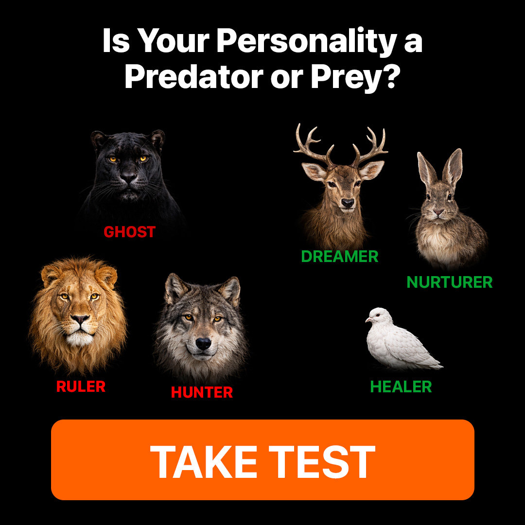 My IQ Facebook ad
