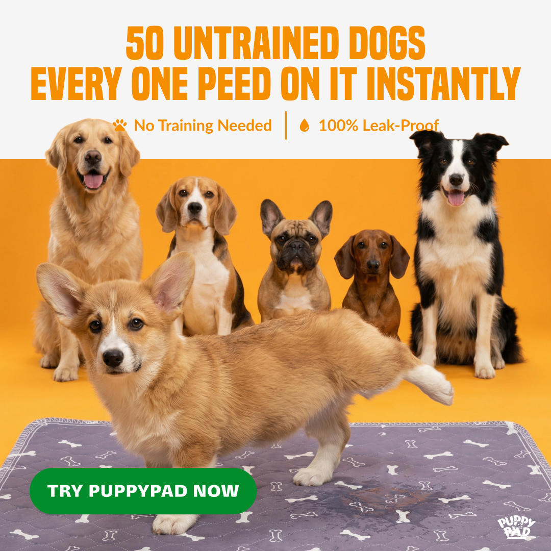 PuppyPad Facebook ad