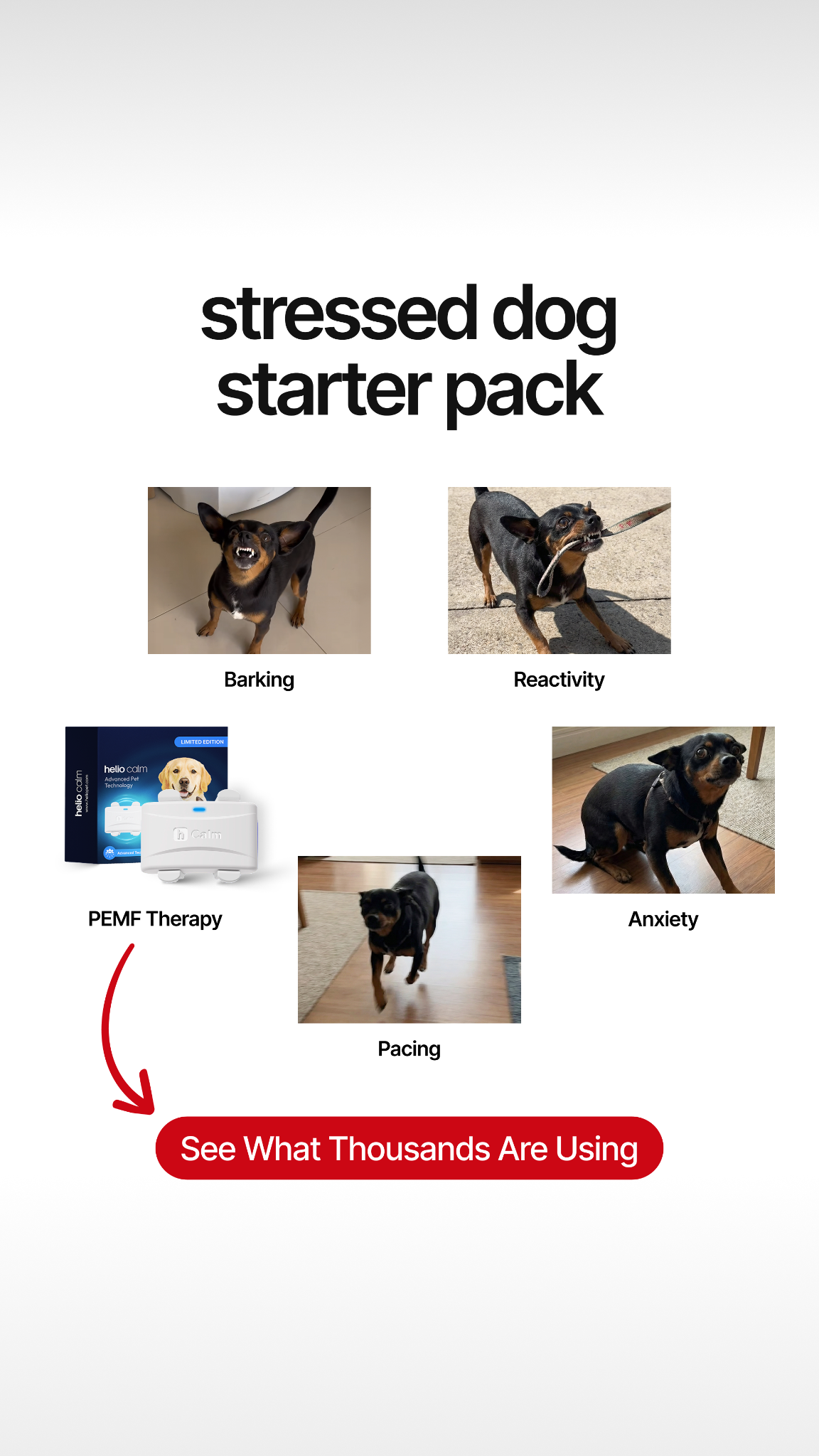 Helio Pet Facebook ad