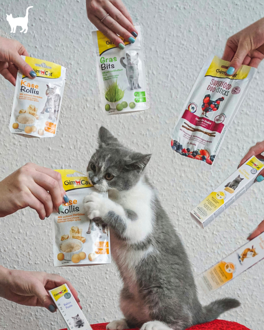 GimCat Facebook ad