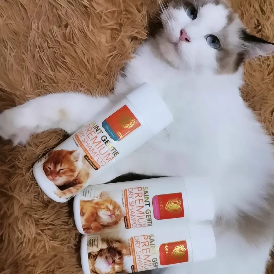 Saint Gertie Premium Cat Shampoo Facebook ad: Pamper your feline furbabies with Saint Gertie's dry…