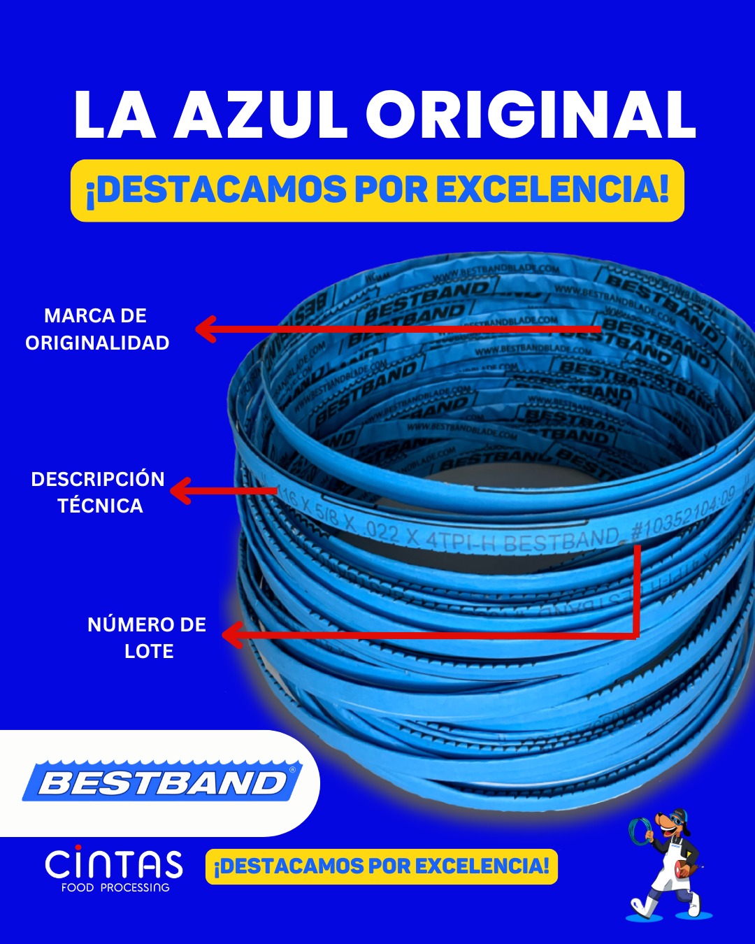 Cintas Bestband C.A Facebook ad