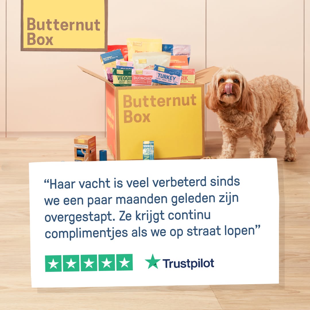 Butternut Box Benelux Facebook ad