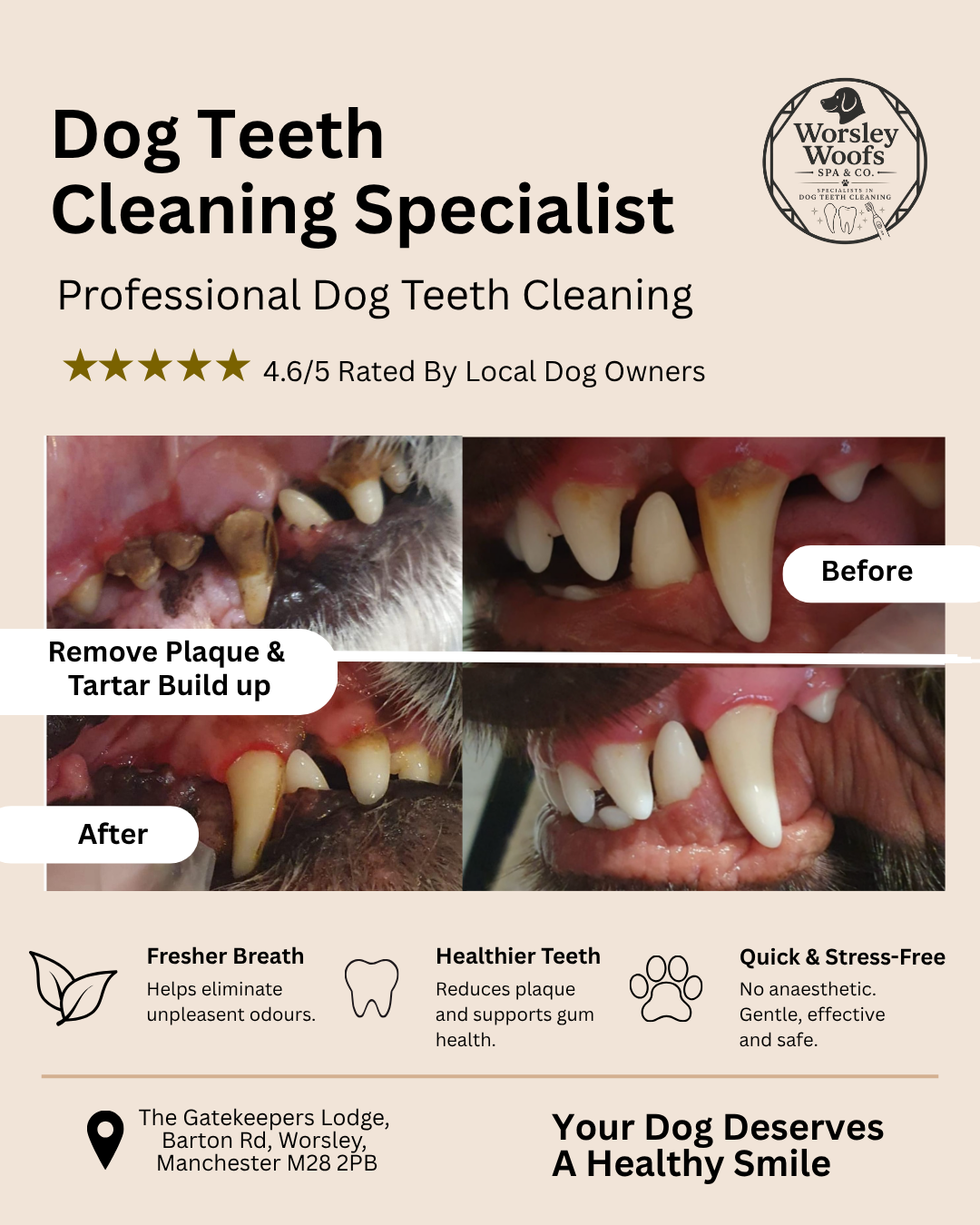 Worsley Woofs Spa & Co. Facebook ad: Because They Can’t Brush Their Own Teeth