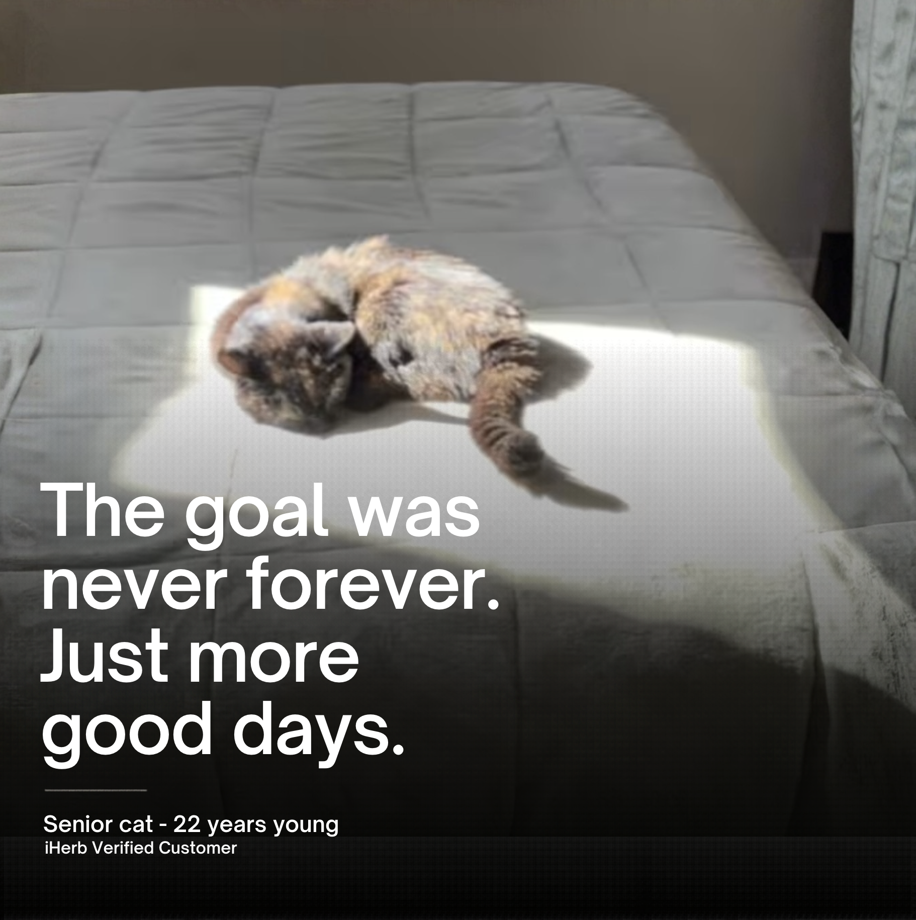 Pet Wellness Direct Facebook ad