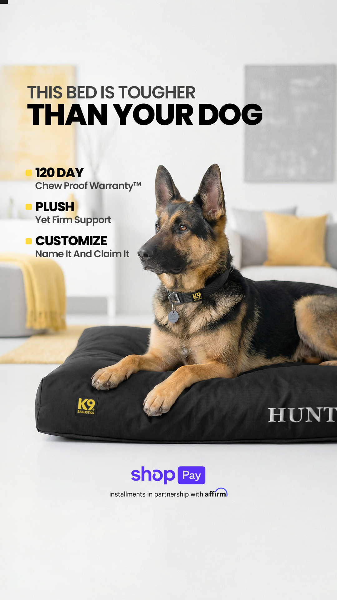 K9 Ballistics Dog Beds Facebook ad