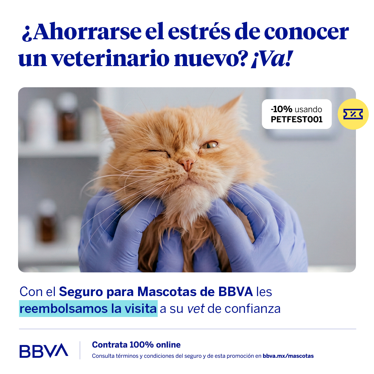 BBVA Seguros México Facebook ad