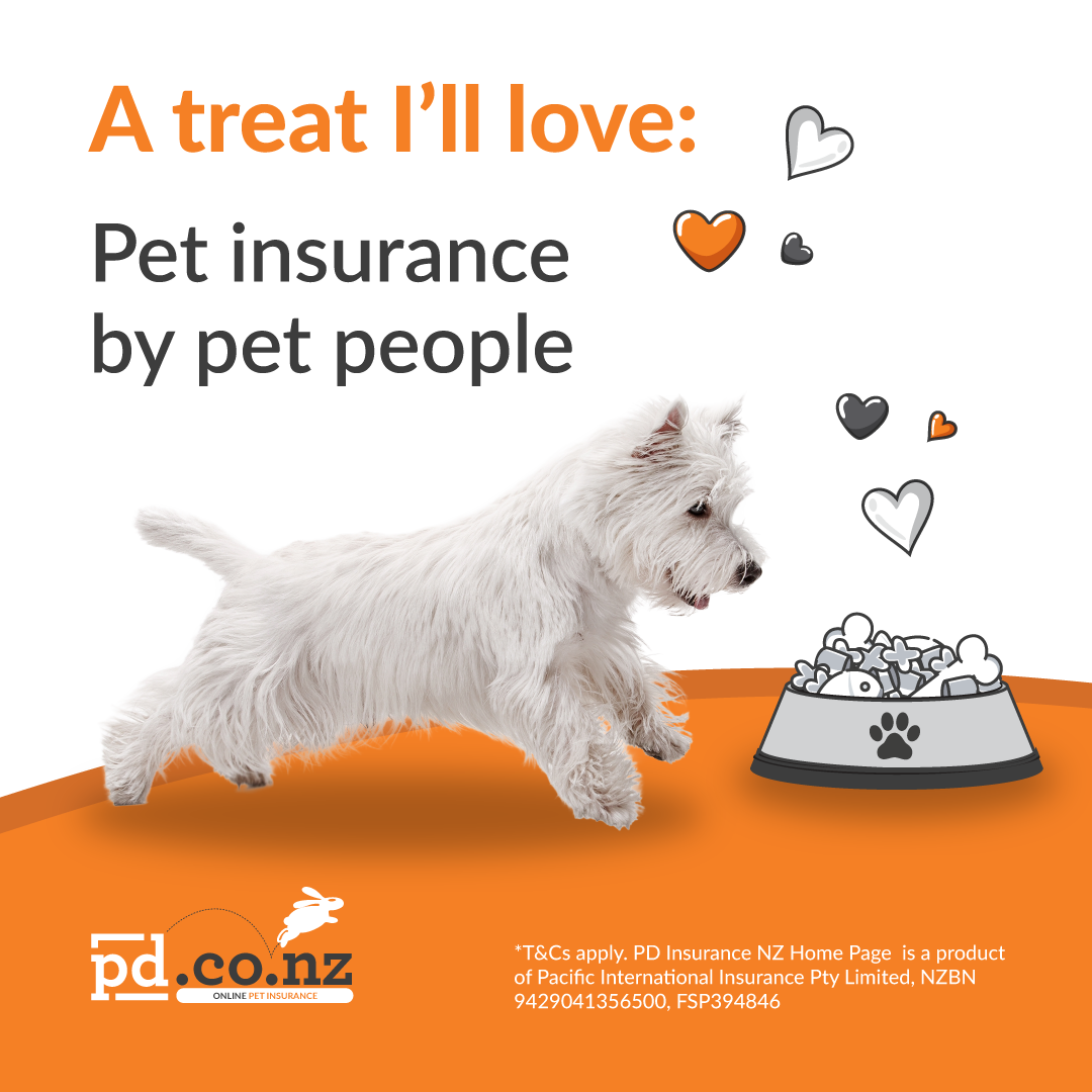 PD Insurance NZ Facebook ad