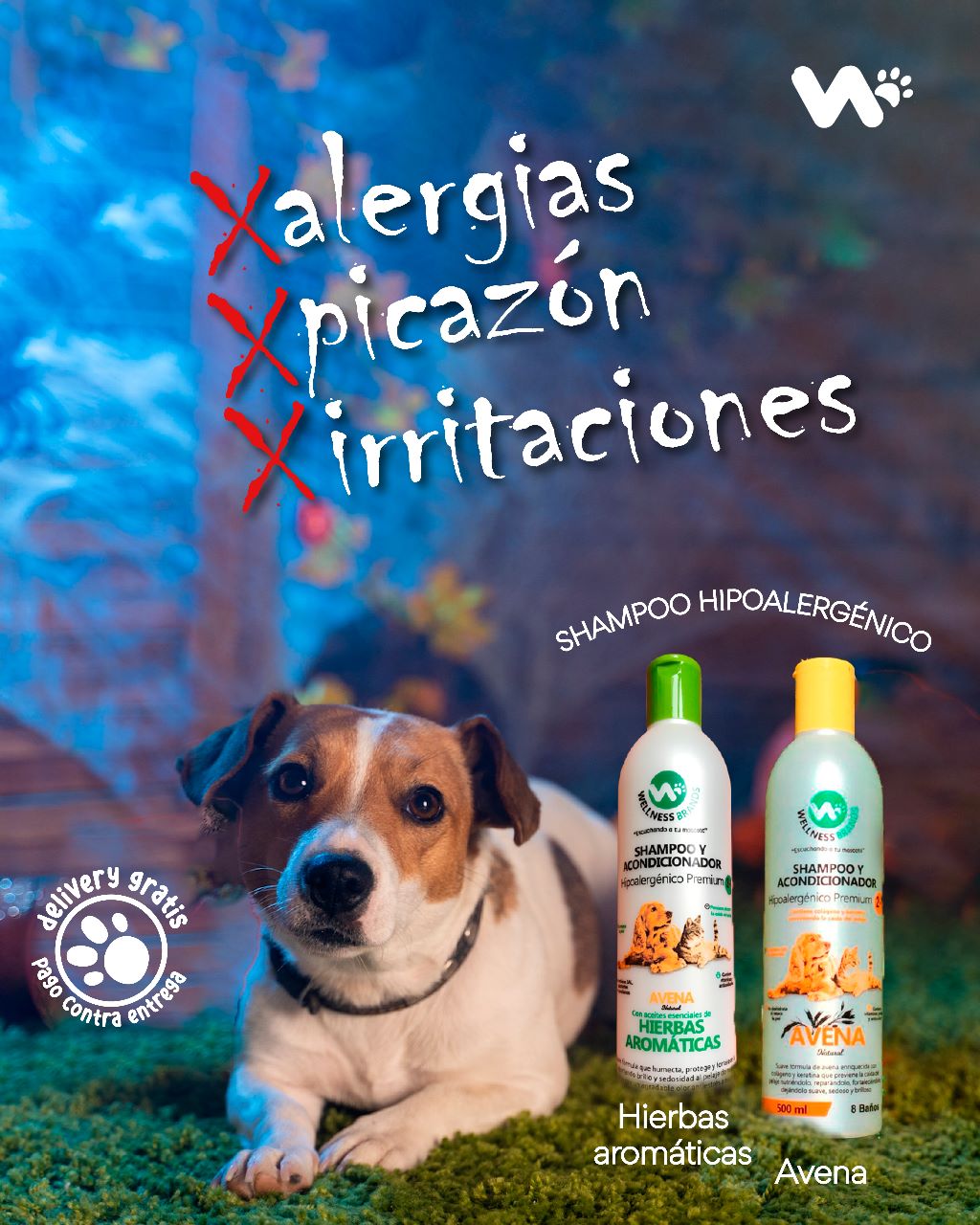 Wellness Brands Facebook ad