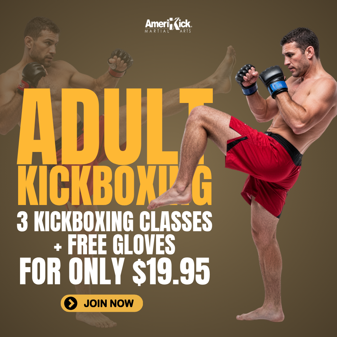Amerikick Martial Arts Facebook ad