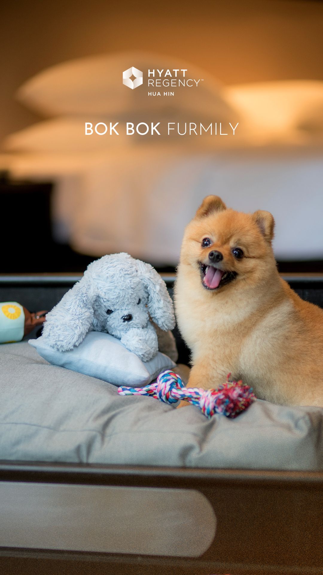 Hyatt Regency Hua Hin Facebook ad: Special Offers and Deals - Best Rates at Official Website…