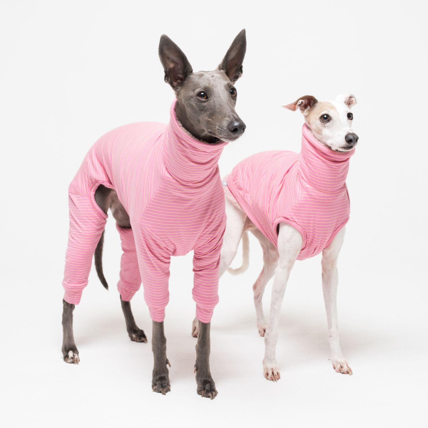 Snootly Facebook ad: Our most-loved range just got a whole lot better.