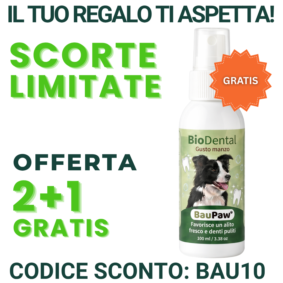 Vita a Quattro Zampe Facebook ad