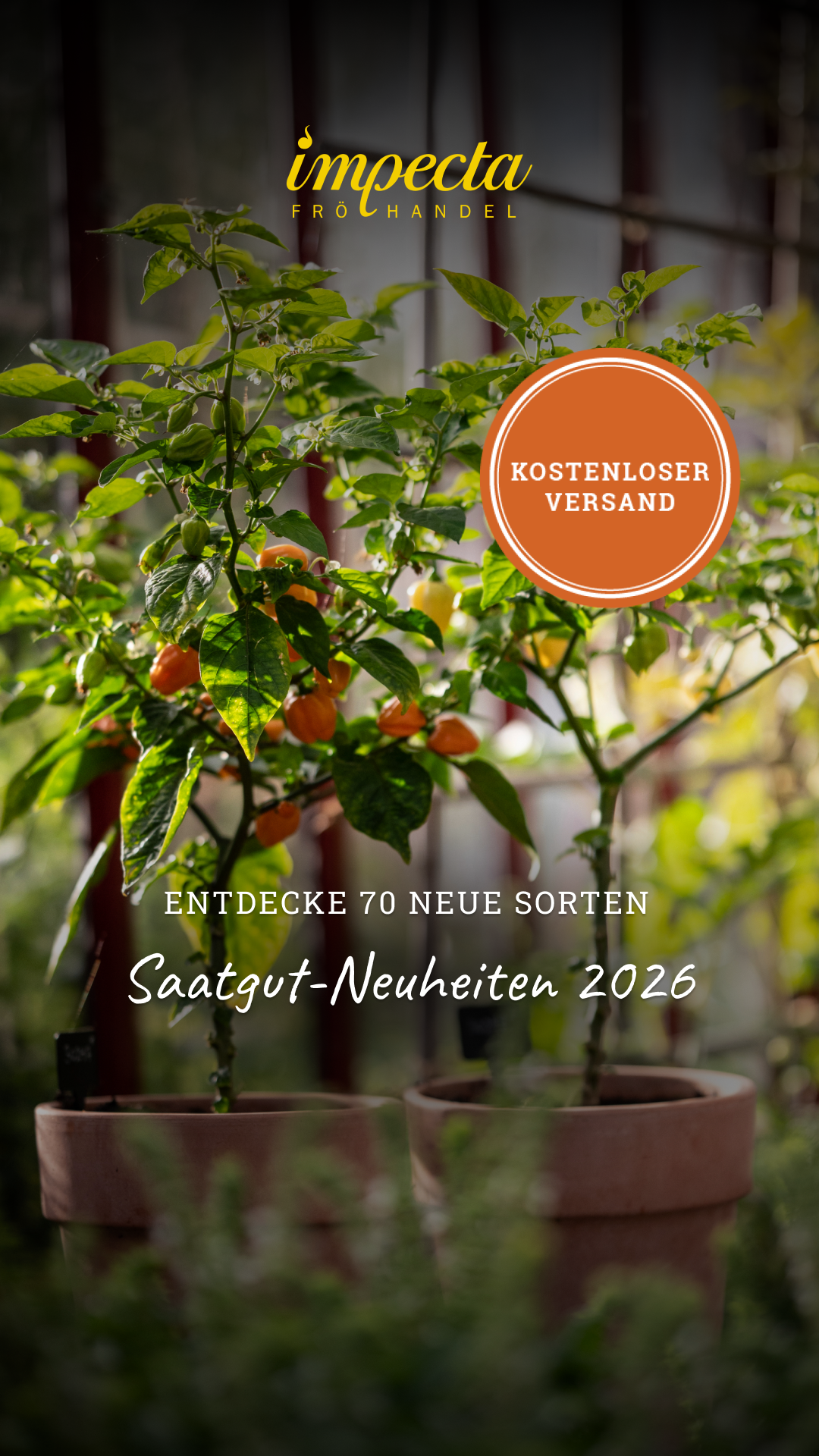 Impecta Fröhandel Europe Facebook ad from Jan 2, 2026