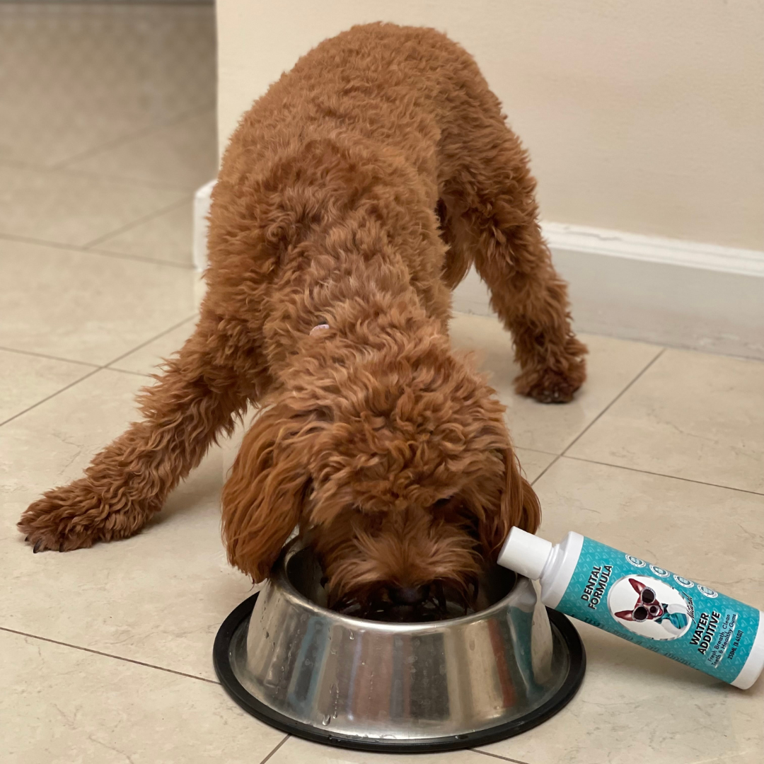 Nutri Paw Facebook ad