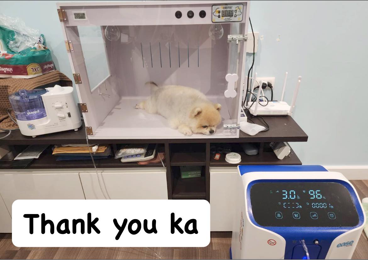 Icu Pets Care เครื่องมือแพทย์สำหรับสัตว์ Facebook ad