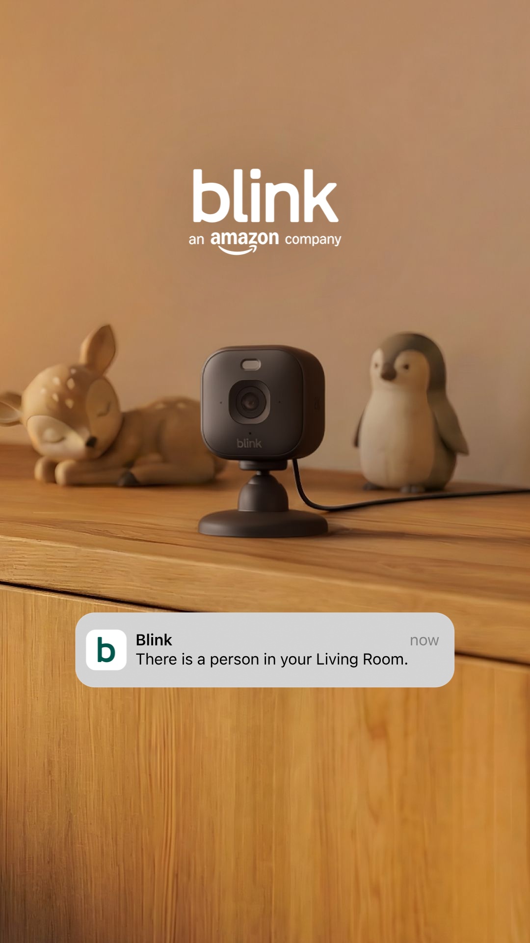 Blink UK Facebook ad from Jun 12, 2026