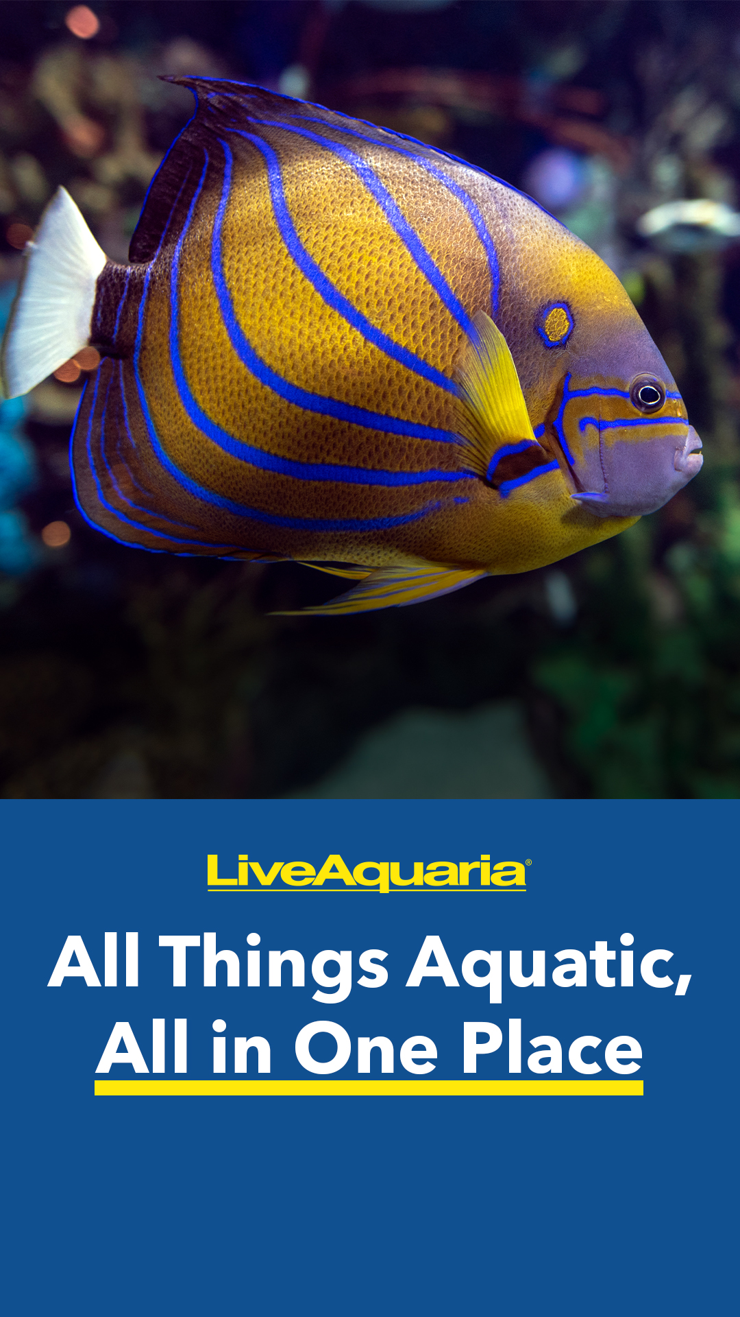 LiveAquaria.com Facebook ad
