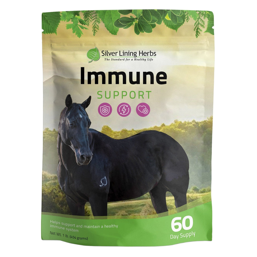 Silver Lining Herbs Facebook ad: Protect your horse from harmful parasites the natural…