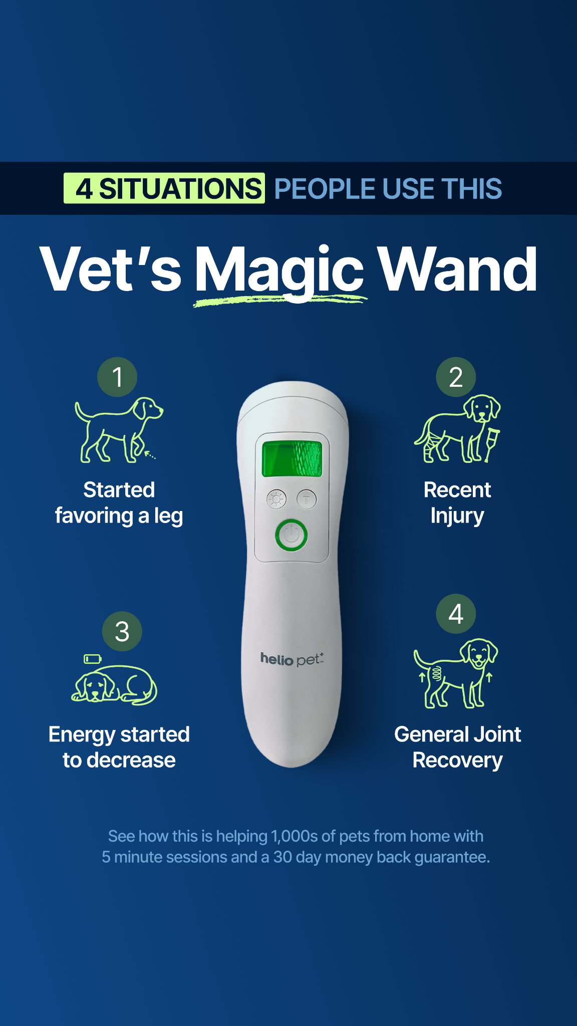Helio Pet Facebook ad