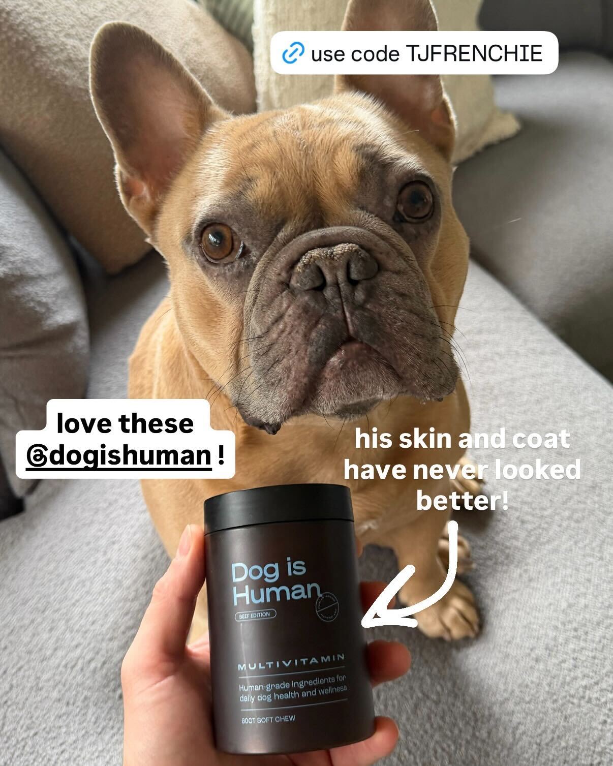 Dog is Human Facebook ad