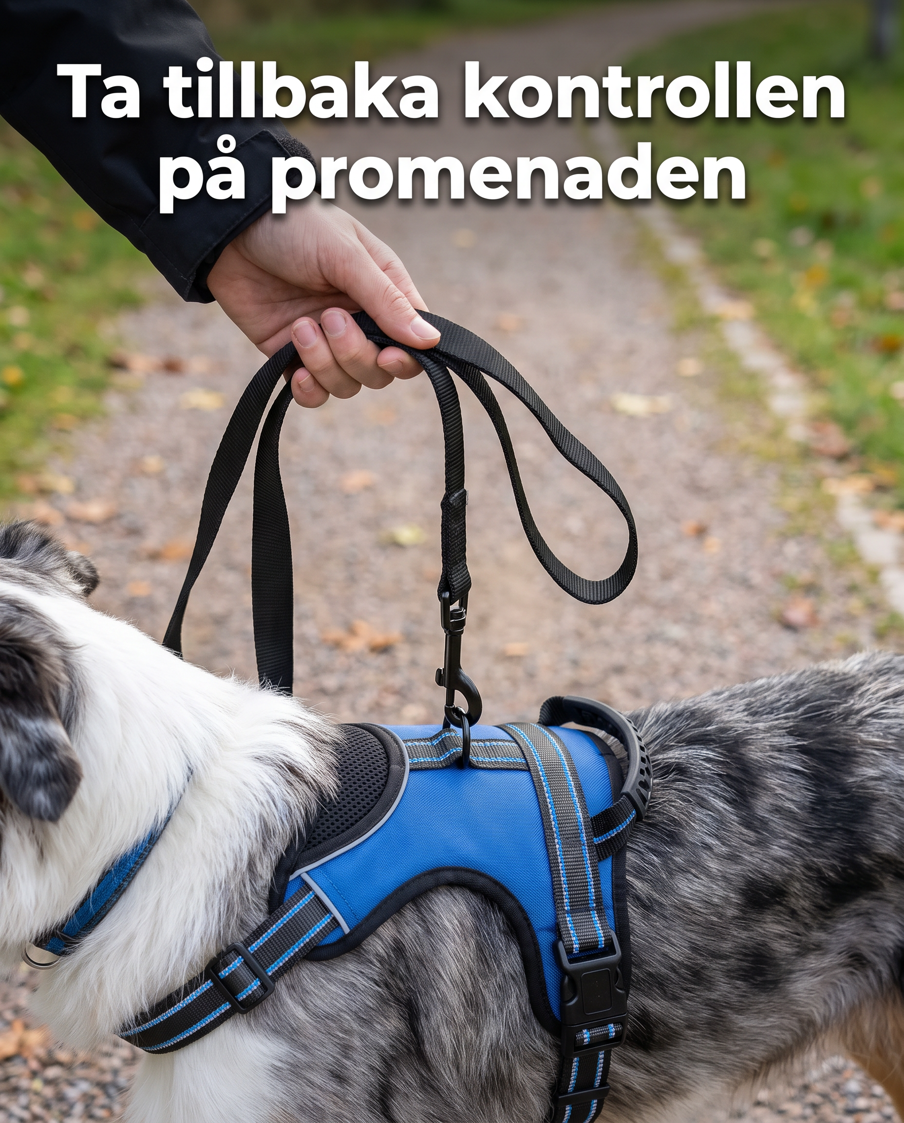 Norillo Facebook ad