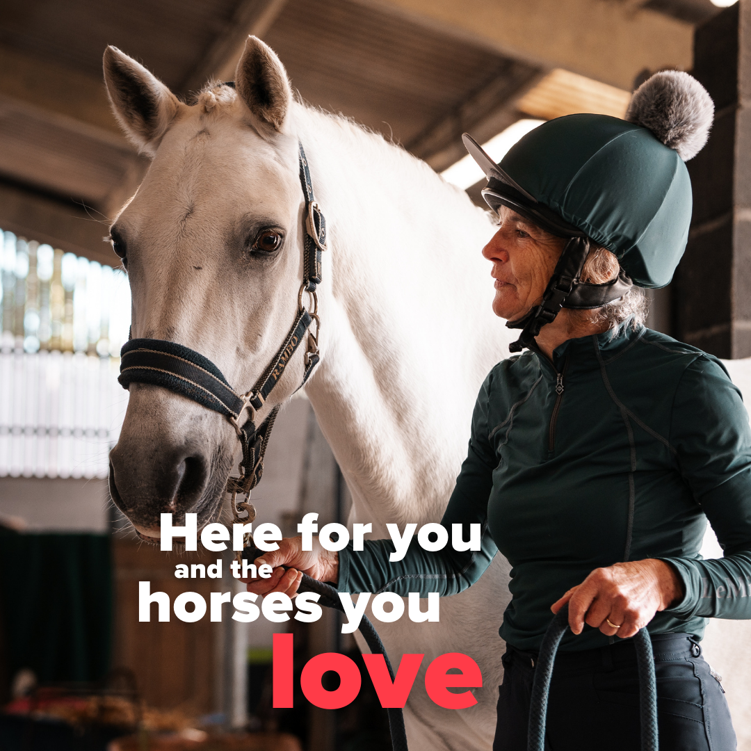 British Horse Society Facebook ad: Become a member