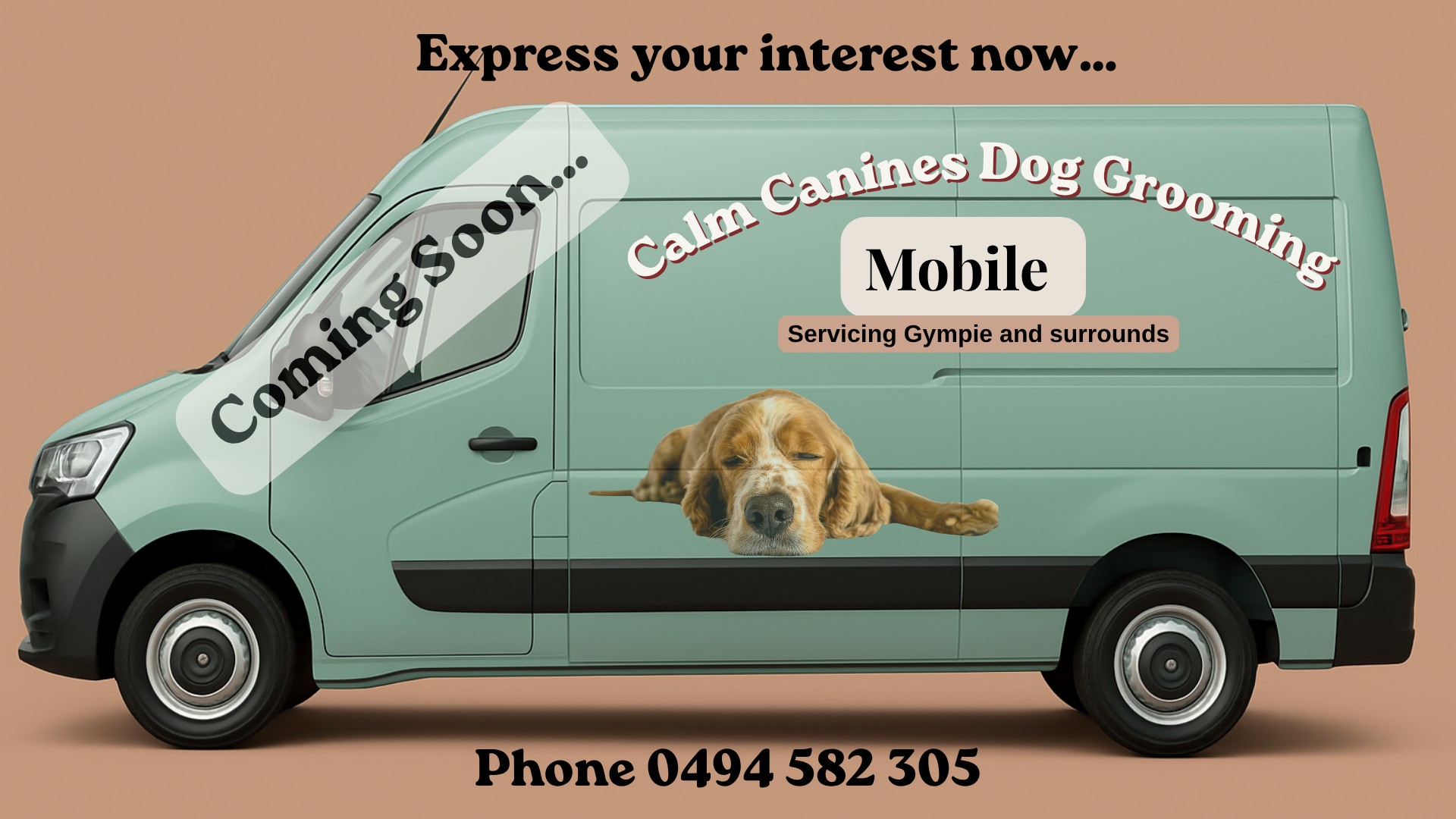 Calm Canines Dog Grooming Facebook ad: Join the Waitlist