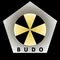 Budo Martial Arts