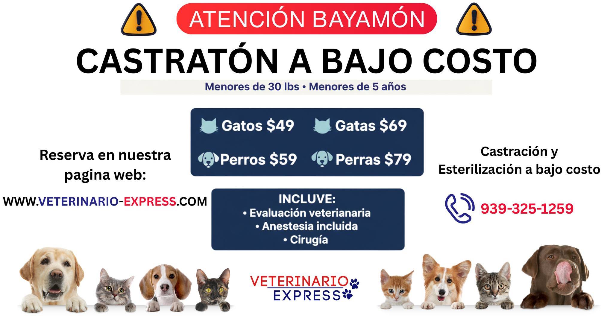 Veterinario Express Puerto Rico Facebook ad