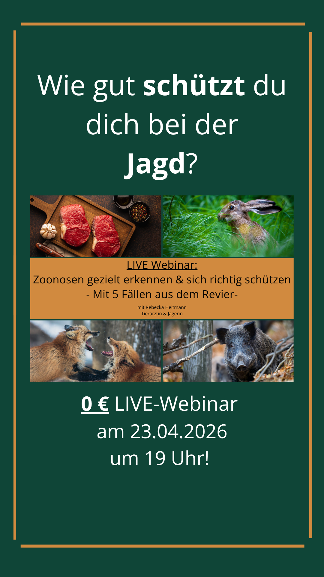 Wildkrankheiten A-Z Facebook ad from Apr 2, 2026