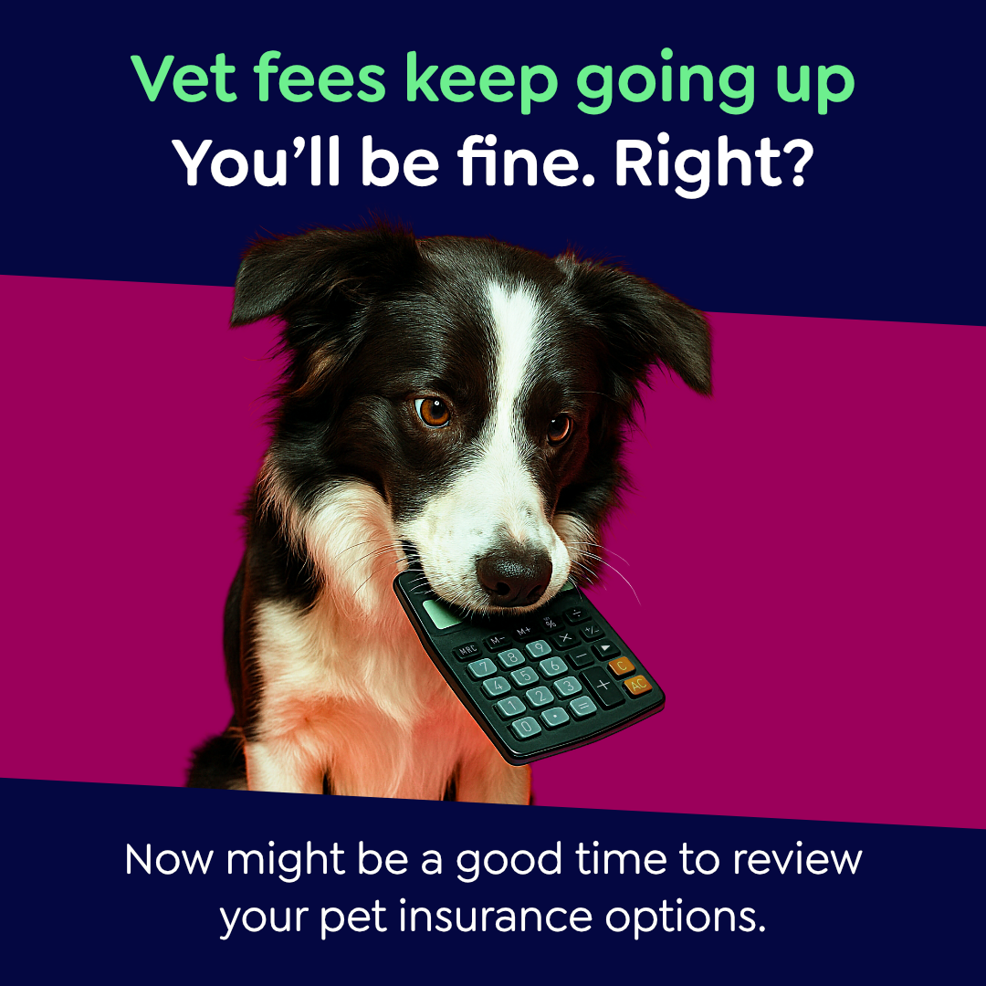 Petgevity UK Facebook ad