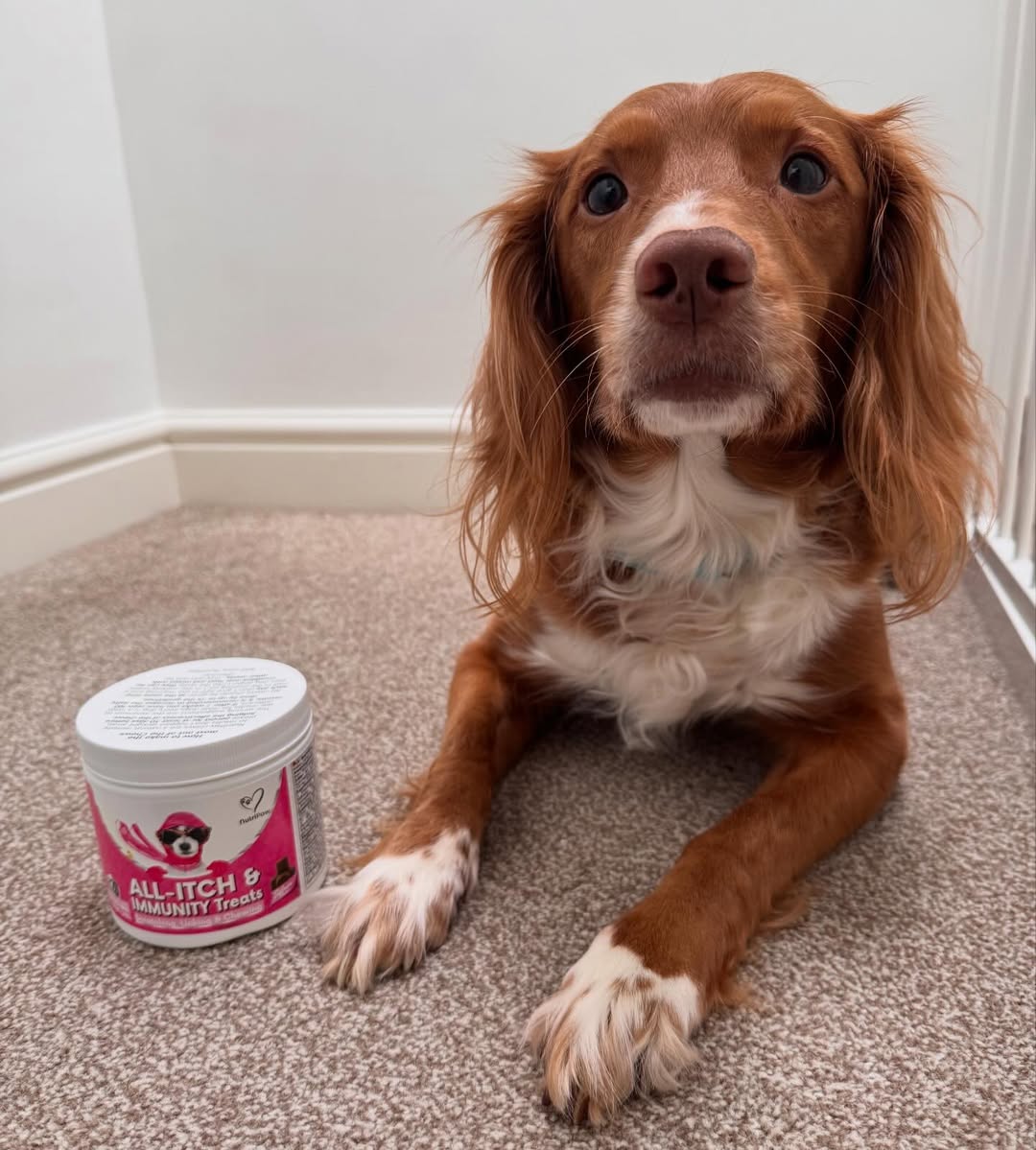 Nutri Paw Facebook ad
