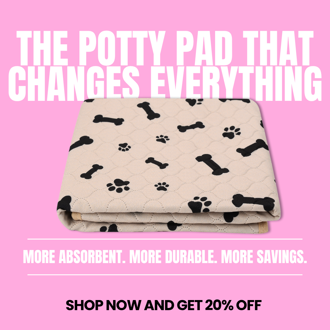 Potty Buddy Facebook ad