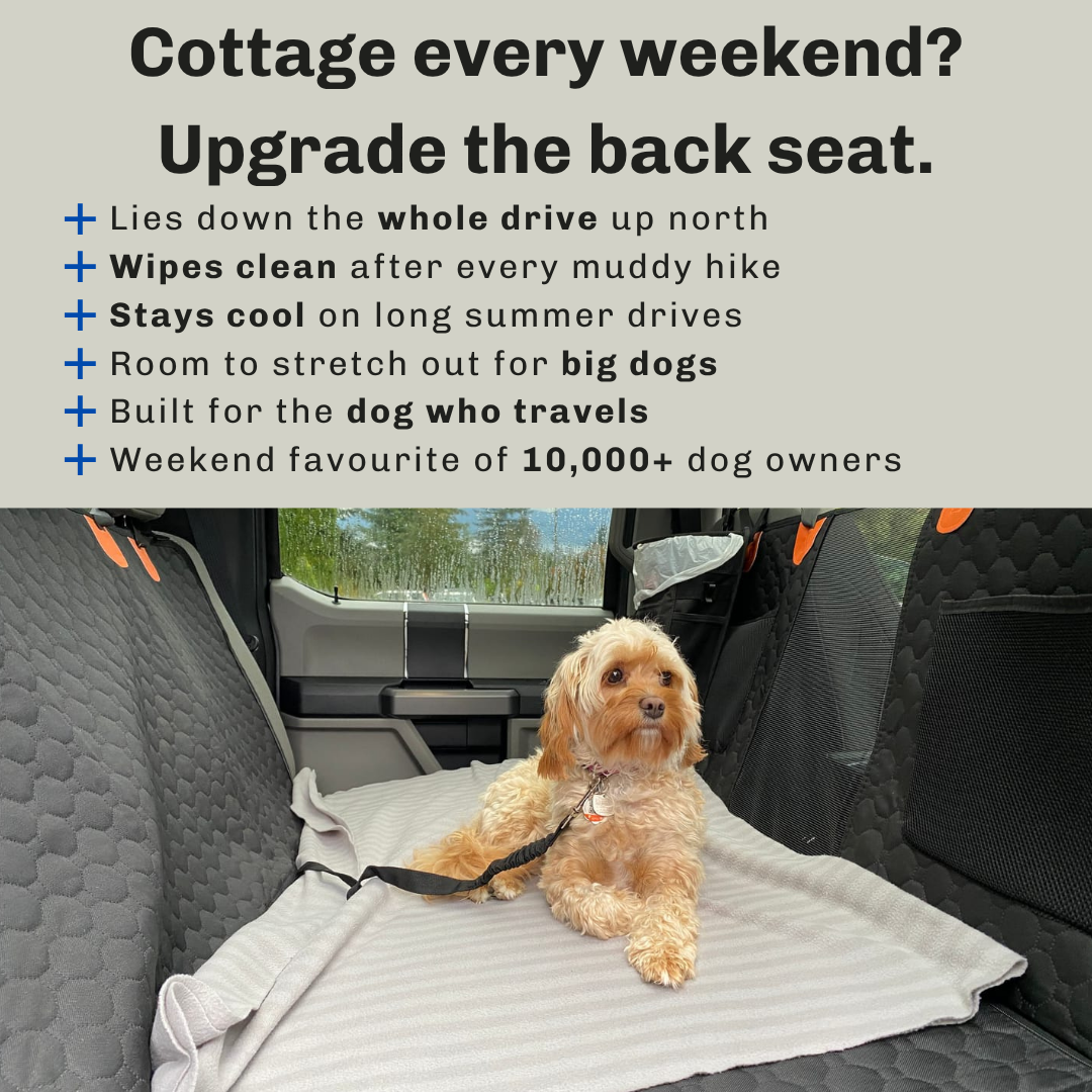 AutoPaws Facebook ad