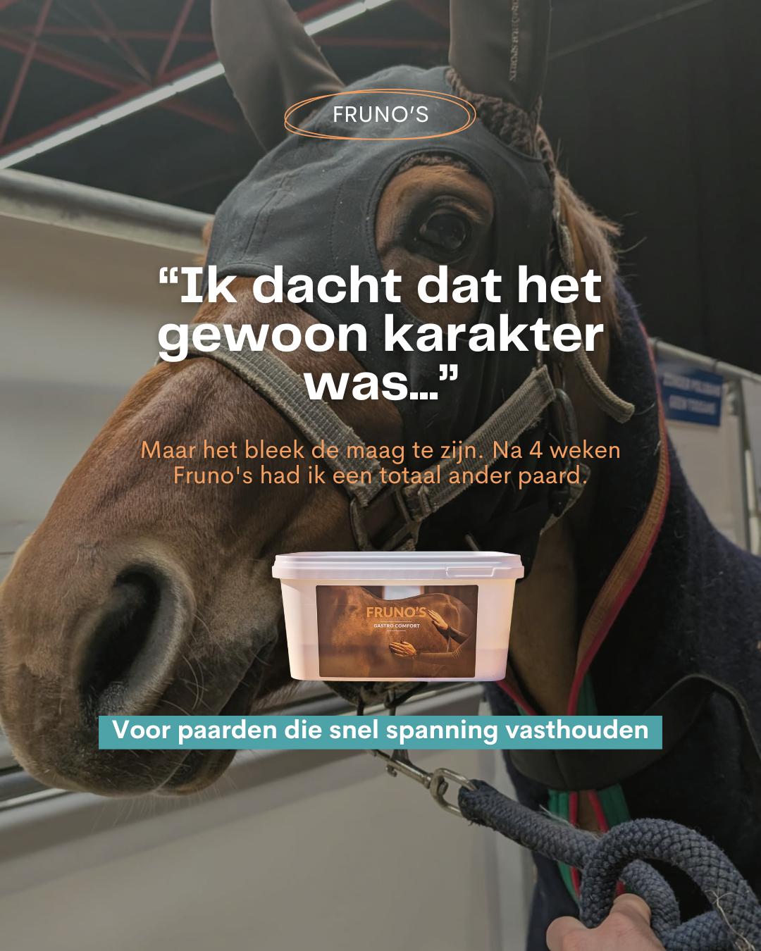 Frunos horse supplements Facebook ad: Fruno's Gastro Comfort voor paarden - Ondersteunt de maag…