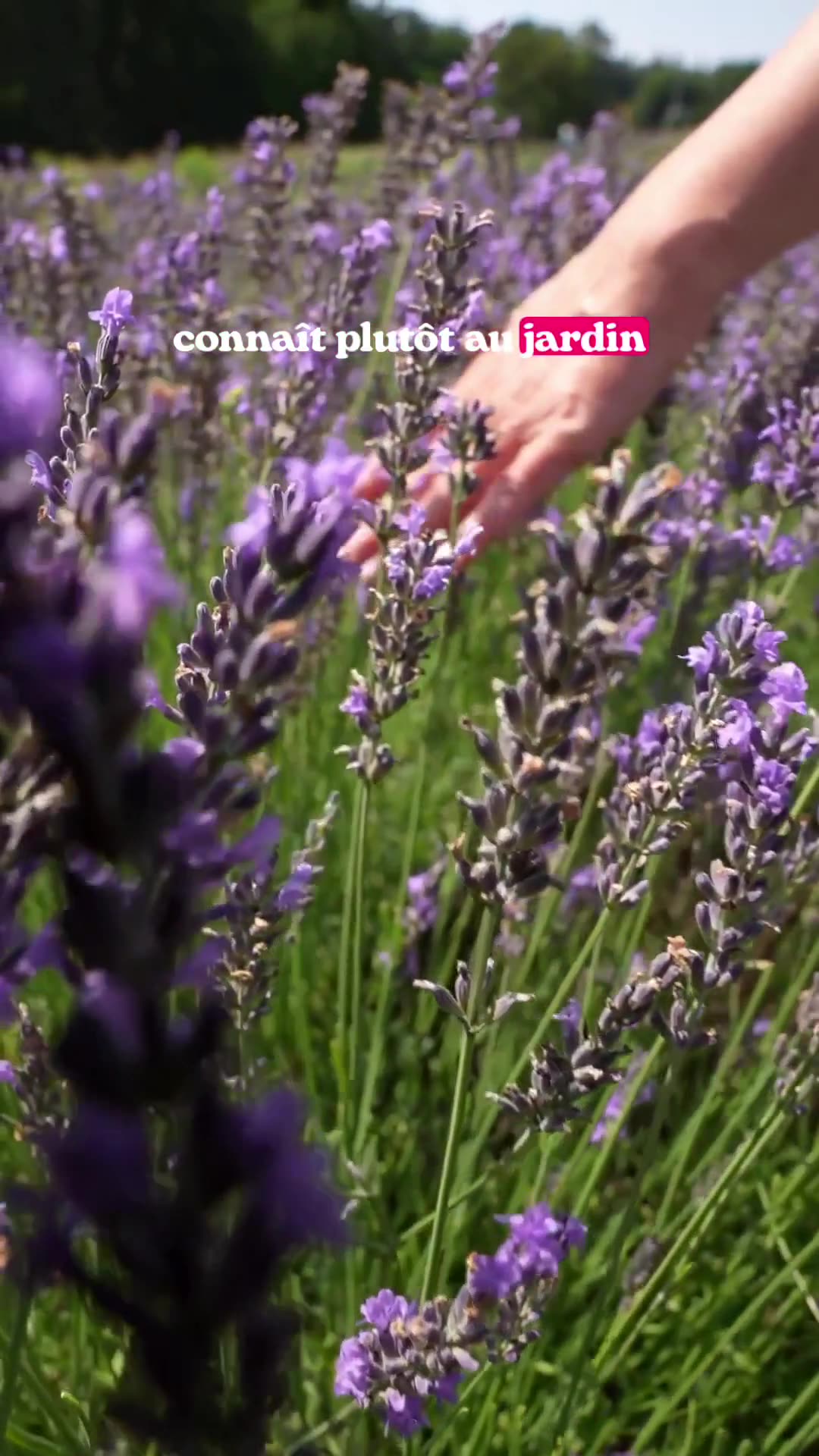une.fille.dans.la.prairie Facebook ad: S’il y a UNE chose sur laquelle se…