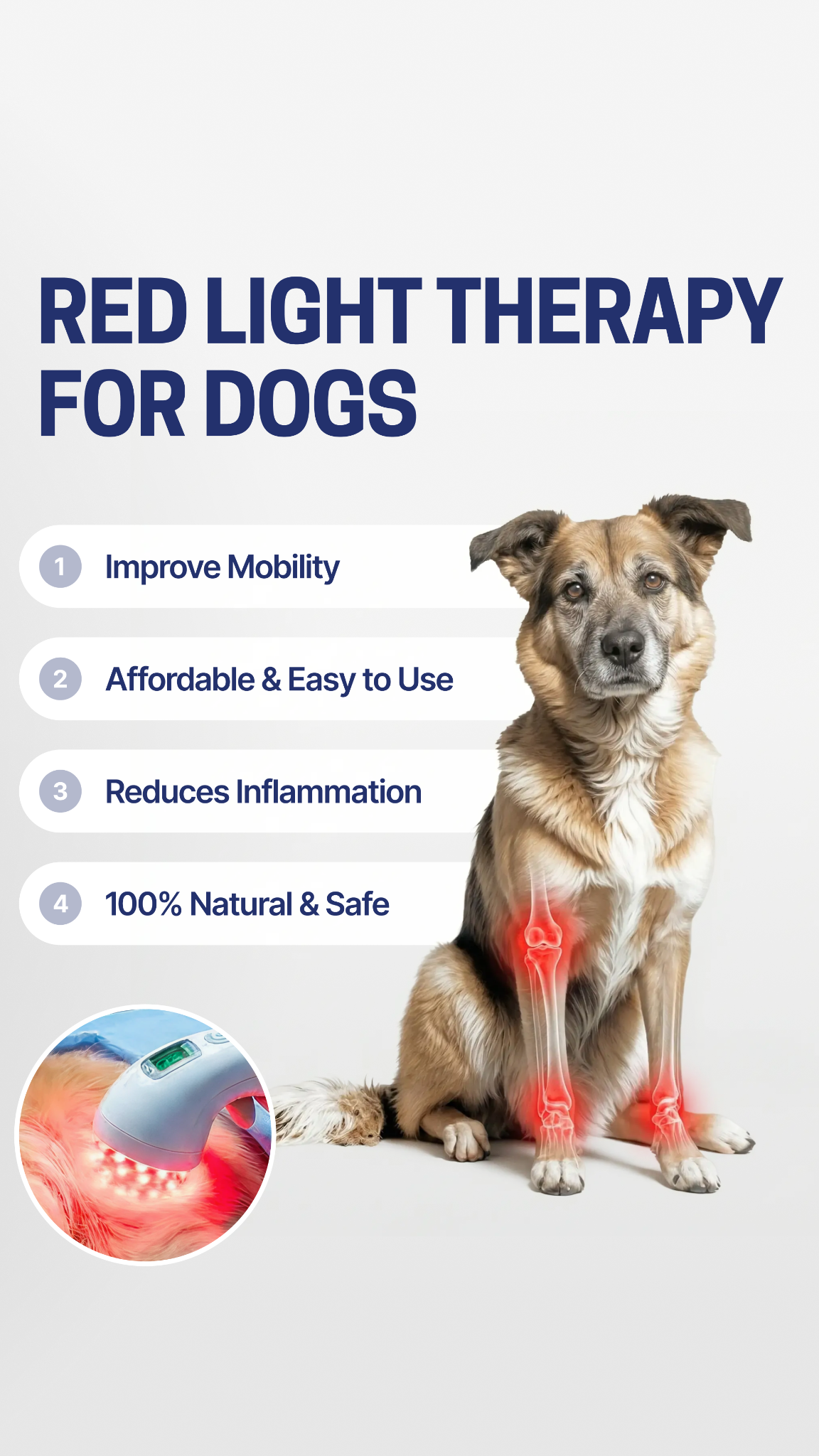 Helio Pet Facebook ad