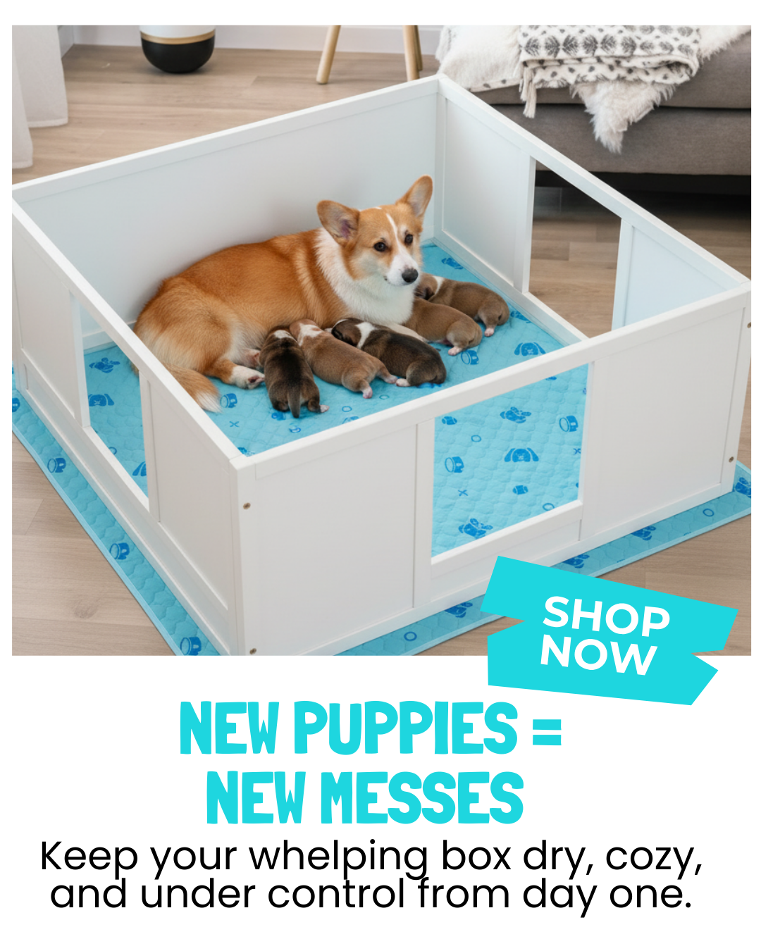 Potty Buddy Facebook ad