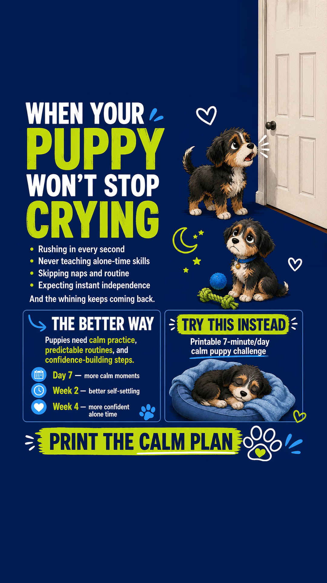 Puppy Tips for Training Facebook ad