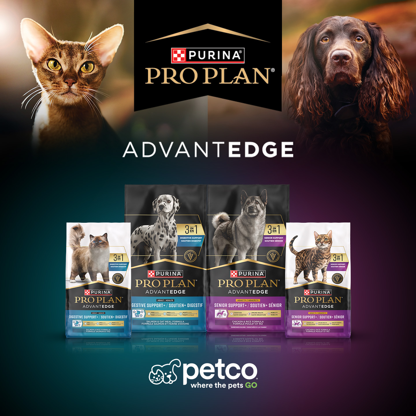 Petco Facebook ad