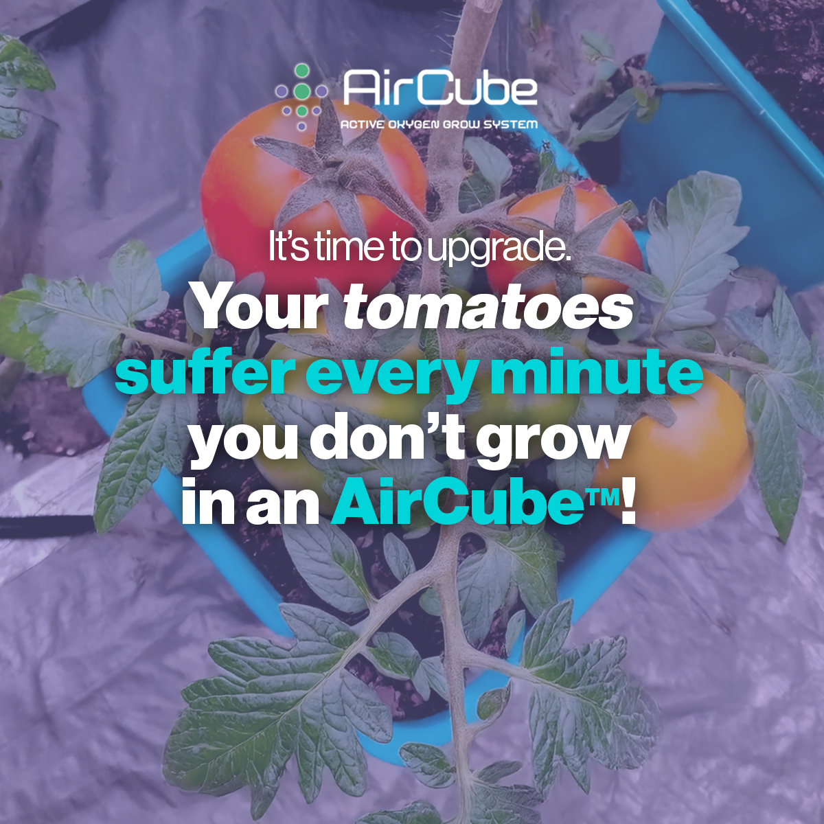 GrowAce.com Facebook ad: Upgrade Your Grow